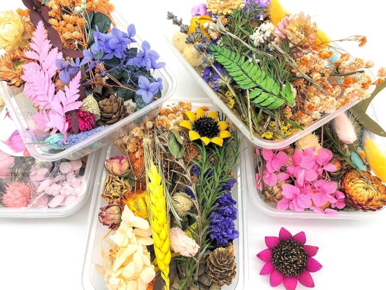 Dry Flower Box