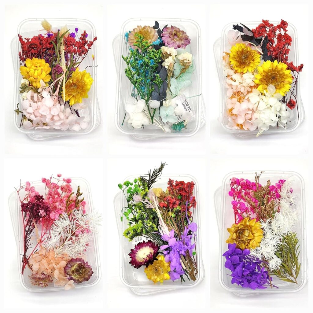 Dry Flower Box - Assorted colour
