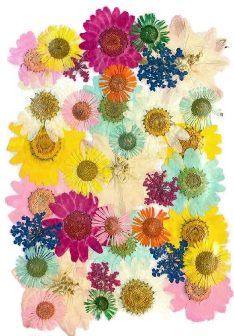 Pressed Flower Sheet